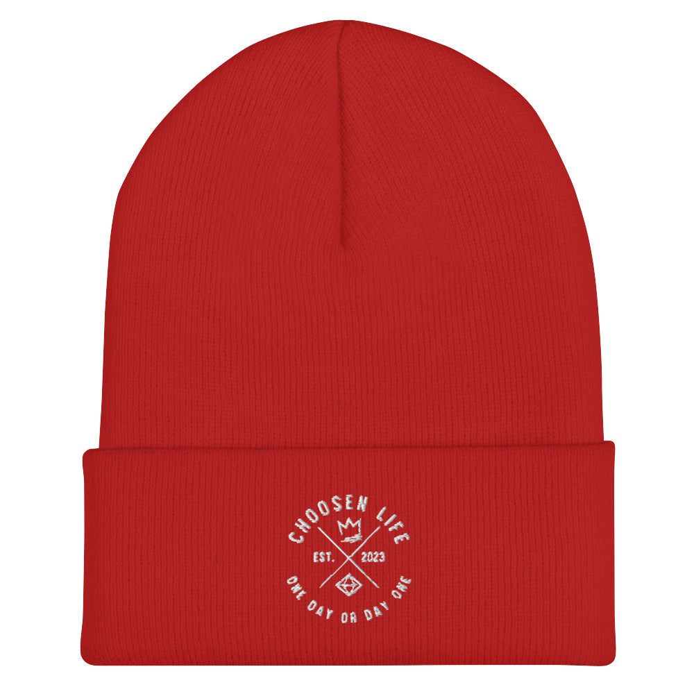 1. One Day or Day One Cuffed Beanie